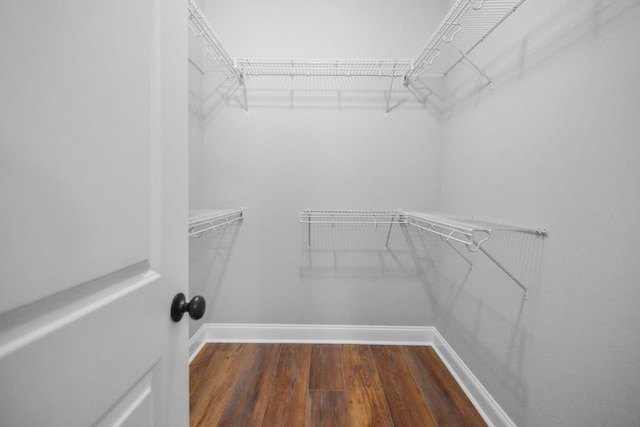 walk in closet with dark hardwood / wood-style floors