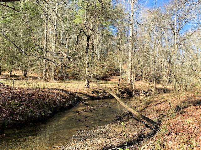 view of local wilderness