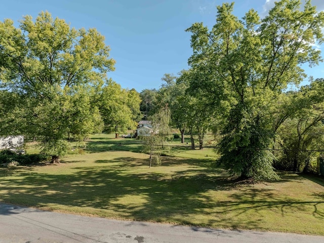 view of property's community featuring a yard