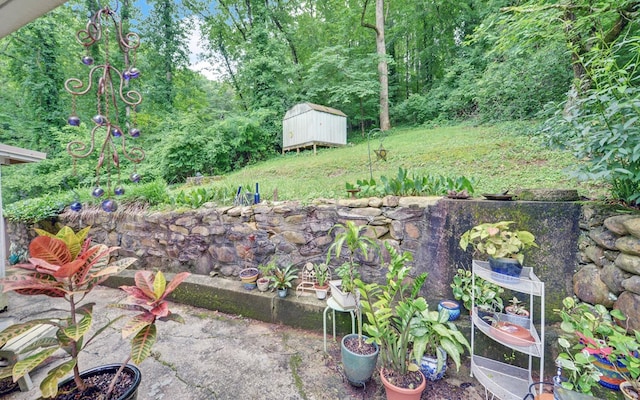 30 Proctor St, Murphy, NC 28906 - view of yard with a storage unit