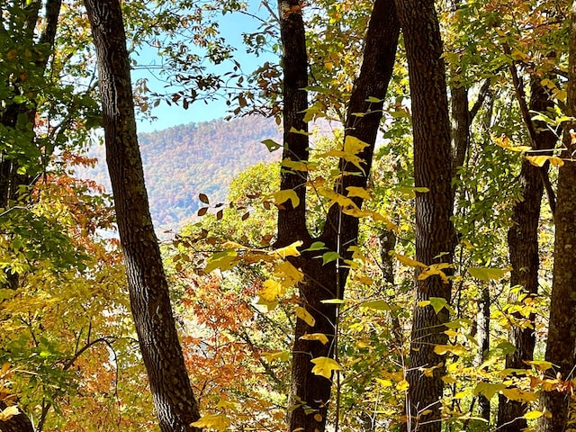 0 E Hwy 64 E, Hayesville, NC 28904