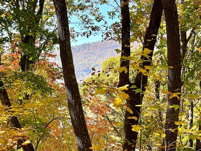 0 E Hwy 64 E, Hayesville, NC 28904