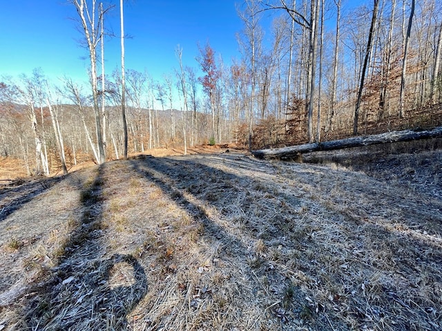 0 E Hwy 64 E, Hayesville, NC 28904