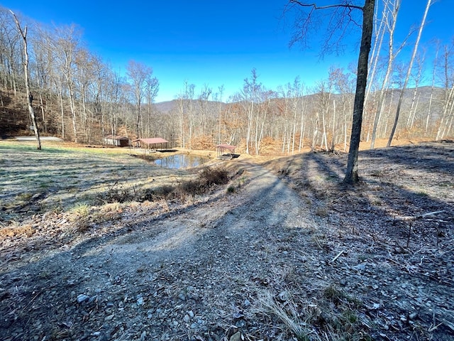 0 E Hwy 64 E, Hayesville, NC 28904