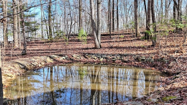 water view