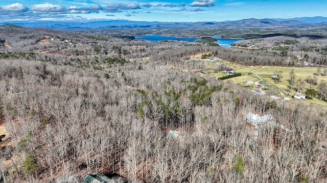 bird's eye view with a water and mountain view