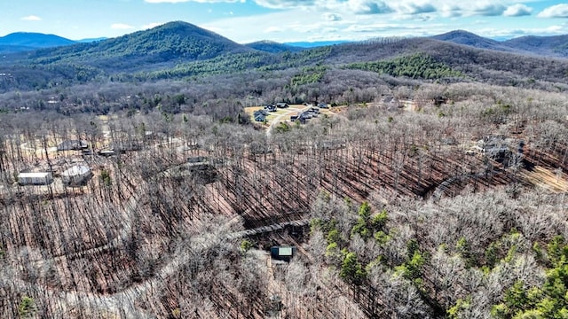 property view of mountains