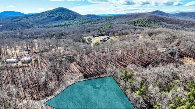 bird's eye view with a mountain view