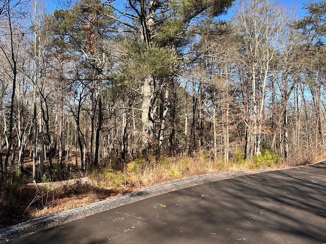 LOT14 Fairview Way, Blue Ridge, GA 30560