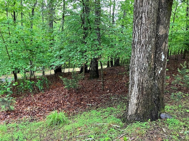 view of tree filled area