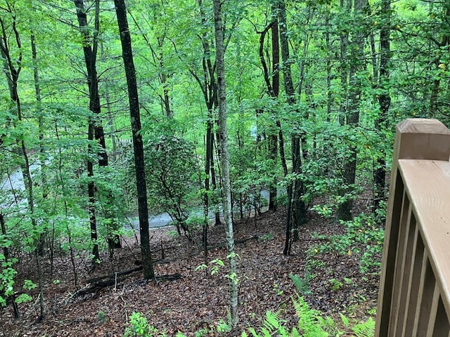 view of woods