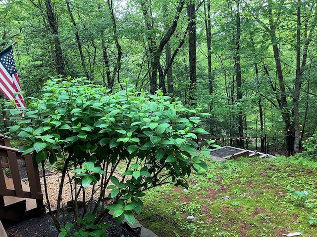 view of tree filled area