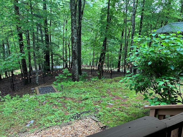 view of yard featuring a wooded view