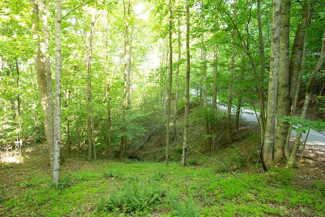 Lot175 Aj'S Holler, Blairsville GA, 30512 land for sale