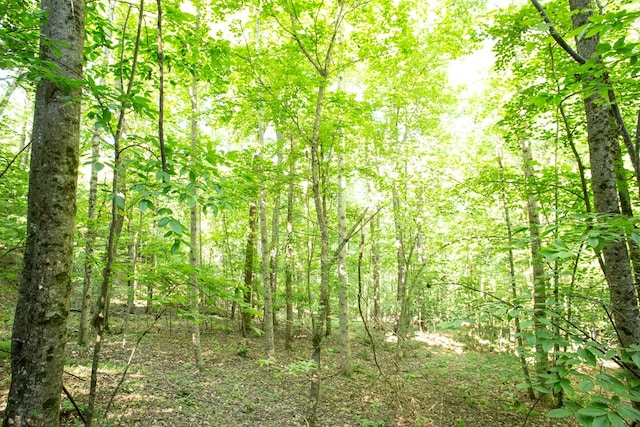 Listing photo 3 for Lot175 Aj'S Holler, Blairsville GA 30512