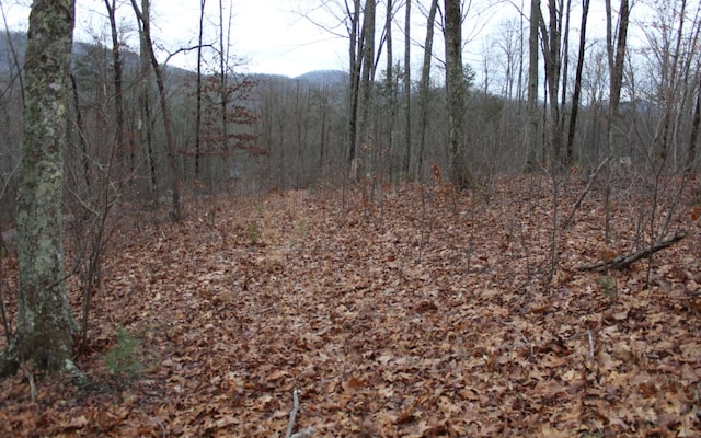 21 Thunder Rd, Hayesville NC, 28904 land for sale