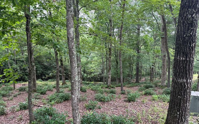 Listing photo 2 for LOT21 Cricket Ln, Brasstown NC 28909