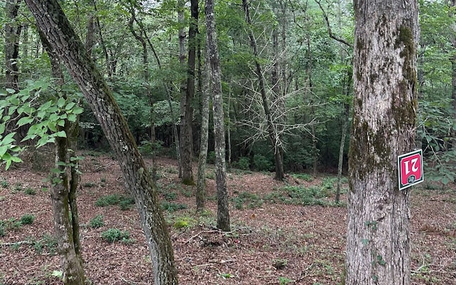 Listing photo 3 for LOT21 Cricket Ln, Brasstown NC 28909