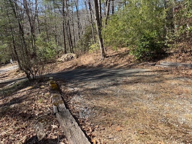 view of yard with a forest view