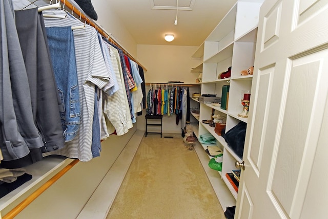 walk in closet featuring light carpet