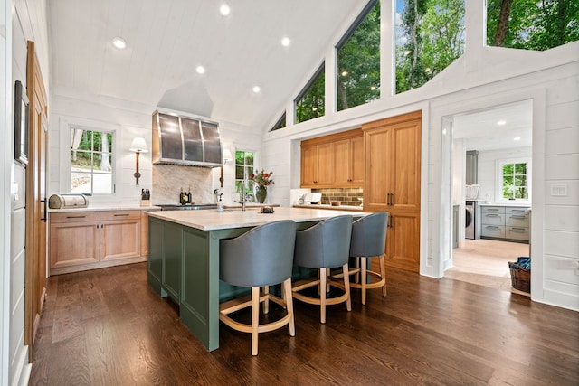 kitchen featuring an island with sink, backsplash, light countertops, and a healthy amount of sunlight