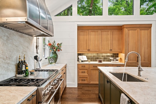 kitchen with dark wood-type flooring, high end stainless steel range, a sink, tasteful backsplash, and range hood