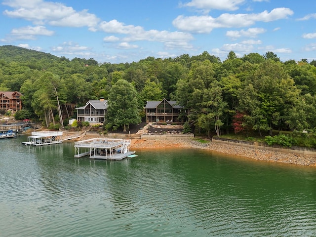 water view with a view of trees and a dock