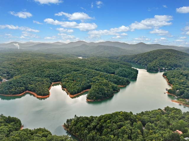 drone / aerial view featuring a forest view and a water and mountain view