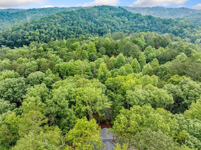 241 Lemmon Ln, Ellijay, GA 30540 - drone / aerial view of a heavily wooded area and a mountainous background