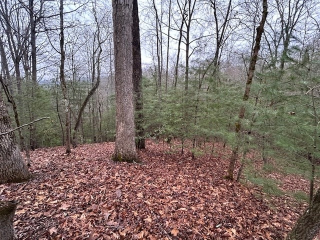 Listing photo 2 for LOT12A Oak Loop, Mineral Bluff GA 30559