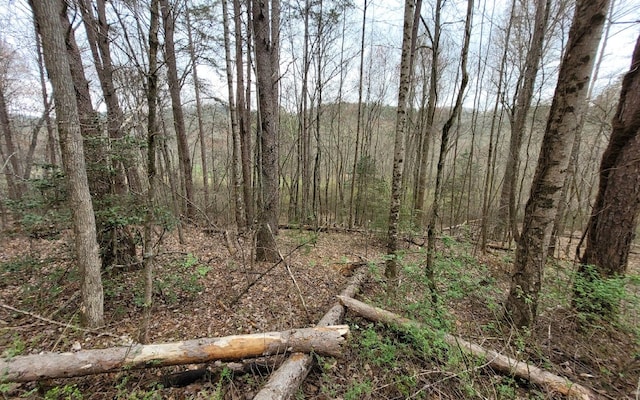 Listing photo 2 for Cutcane Rd, Mineral Bluff GA 30555