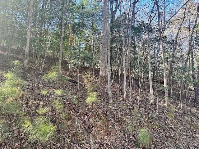 934LOT Ezra, Ellijay GA, 30540 land for sale