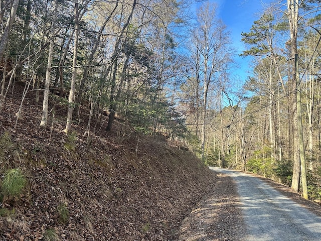 Listing photo 3 for 934LOT Ezra, Ellijay GA 30540