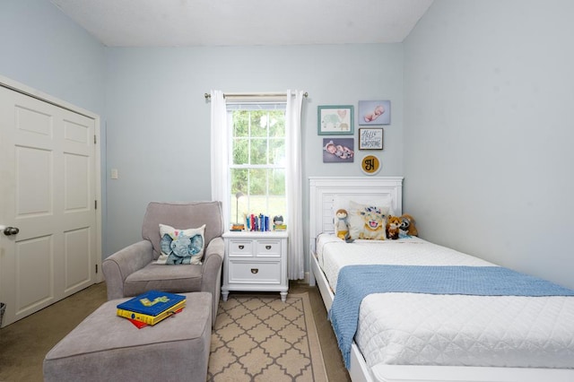 bedroom with hardwood / wood-style floors