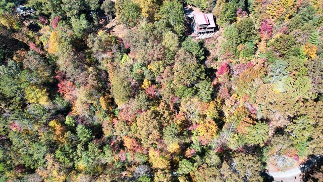 LT2159R Pacer Ct, Ellijay GA, 30540 land for sale