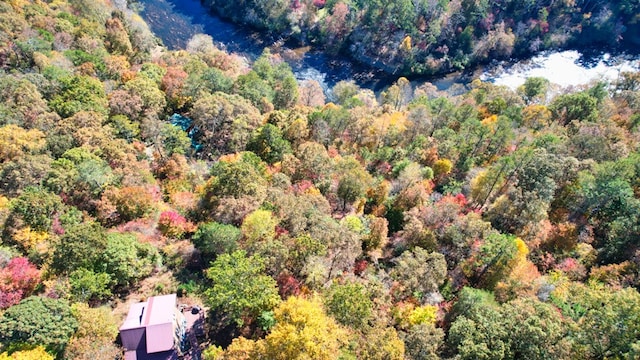 LT2159R Pacer Ct, Ellijay, GA 30540