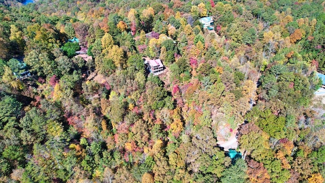 LT2159R Pacer Ct, Ellijay, GA 30540