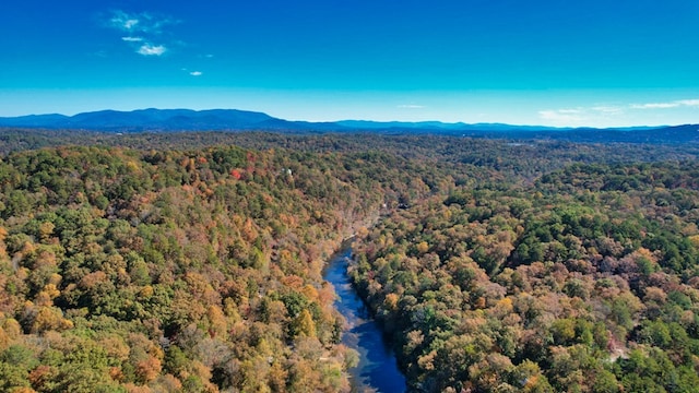 LT2159R Pacer Ct, Ellijay, GA 30540