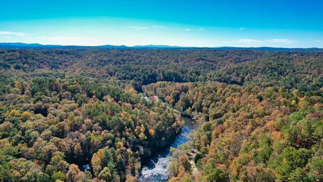 LT2159R Pacer Ct, Ellijay, GA 30540