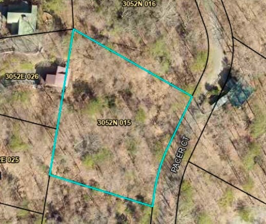 LT2159R Pacer Ct, Ellijay, GA 30540