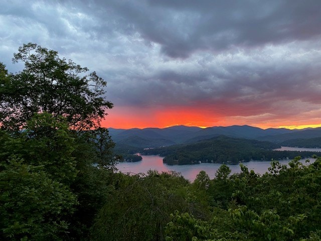 444 Wild Turkey, Tiger, GA 30576 - mountain view with a water view