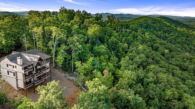 drone / aerial view featuring a mountain view