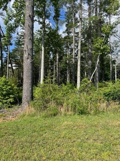 LT171 Highland Park, Blairsville, GA 30512