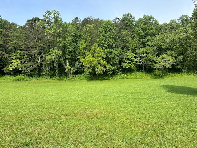 Listing photo 3 for LOT45 Prosperity Dr, Warne NC 28909