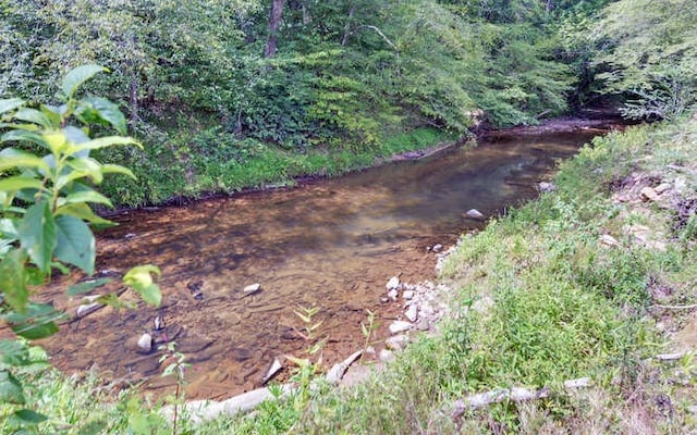 view of local wilderness