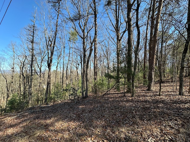 Listing photo 2 for LOT10B Pine Mountain Dr, Ellijay GA 30540