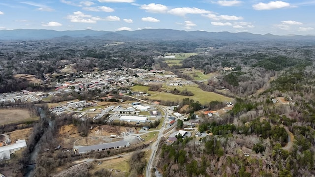 birds eye view of property with a mountain view