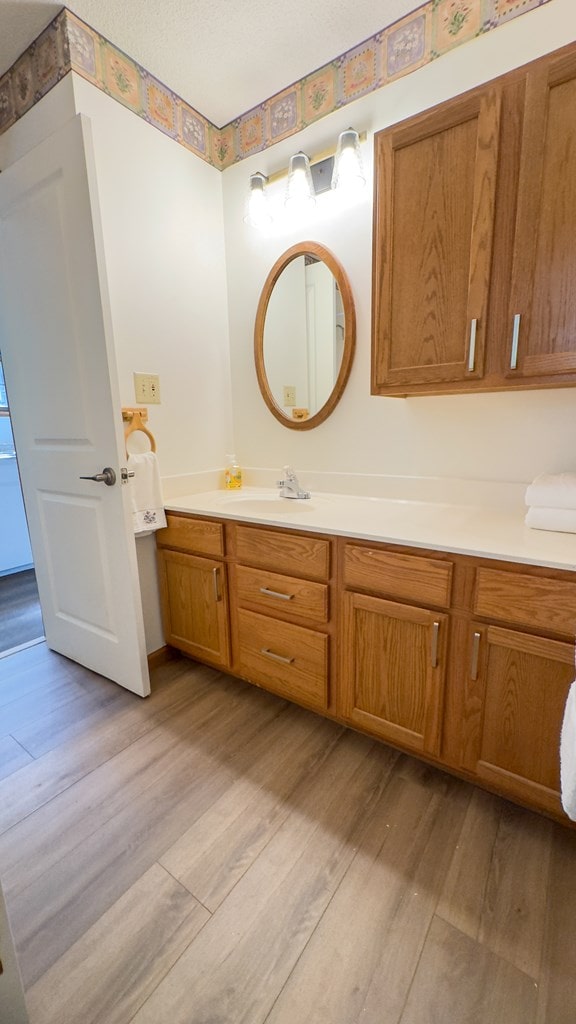 bathroom with vanity and hardwood / wood-style flooring