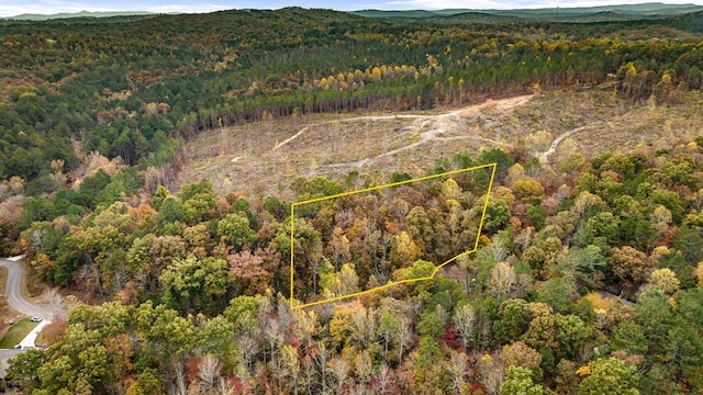 LOT48 Lower Creek Trl, Ellijay, GA 30540