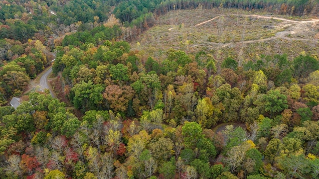 LOT48 Lower Creek Trl, Ellijay, GA 30540